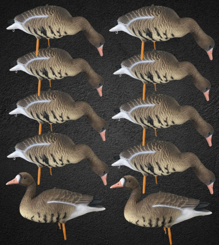 Белолобый гусь OSCAR DECOYS ELITE 3D Speckbelly Goose (10шт)