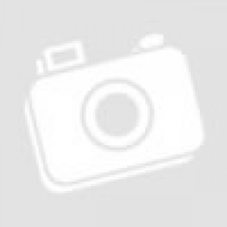 Эхолот-картплоттер Elite FS 10 with Active Imaging 3-in-1